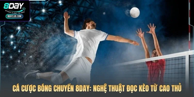 Cá Cược Bóng Chuyền 8DAY: Nghệ Thuật Đọc Kèo Từ Cao Thủ
