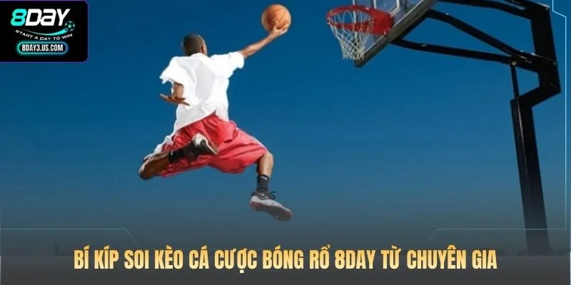 Bí kíp soi kèo cá cược bóng rổ 8DAY từ chuyên gia