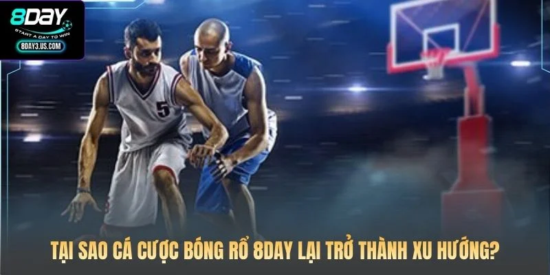 Tại sao cá cược bóng rổ 8DAY lại trở thành xu hướng?
